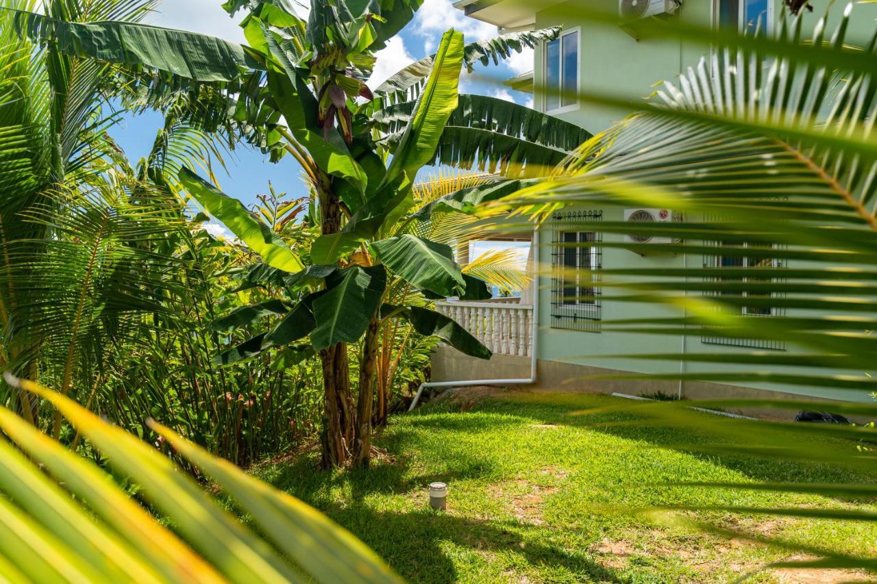 Top View Retreat Selfcatering Anse a La Mouche Exterior foto
